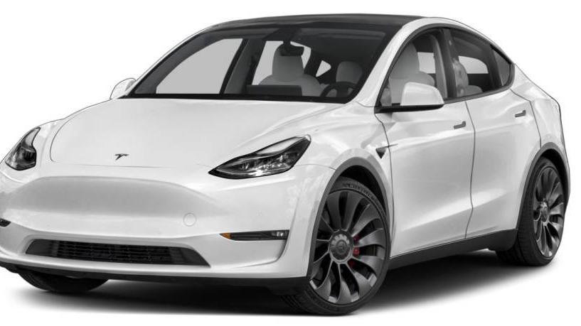 TESLA MODEL Y 2021 5YJYGDEE7MF160006 image